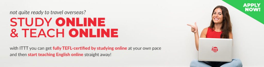Study Online, Teach Online